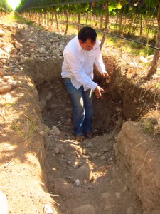 Altamira 2, Altos Las Hormigas, Harvest 2012, Pedro Parra Terroir Specialist
