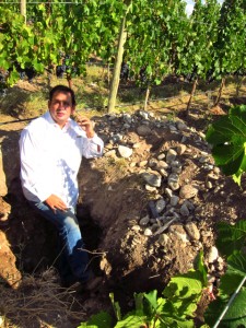 Gualtallary, Altos Las Hormigas, Harvest 2012, Pedro Parra Terroir Specialist