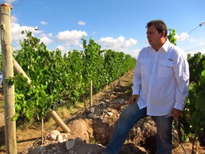 Gualtallary 3, Altos Las Hormigas, Harvest 2012, Pedro Parra Terroir Specialist