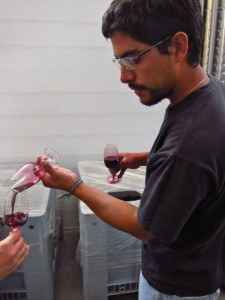 Mauricio Gonzalez testing the micro-vinification of Altos Las Hormigas Single Vineyard Malbec, Makia Vineyard, Vista Flores.