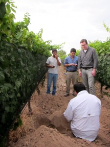 Perdriel, Altos Las Hormigas, Harvest 2012, Pedro Parra Terroir Specialist