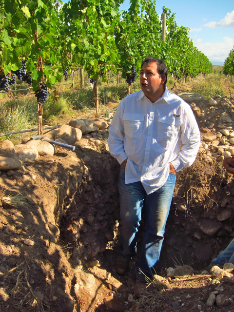Vista Flores, Uco Valley. Altos Las Hormigas Harvest 2012, Pedro Parra Terroir Specialist