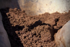 Humus Organic Soil, Planting a Vineyard, Altos Las Hormigas, Mendoza, Argentina, Terroir Wine