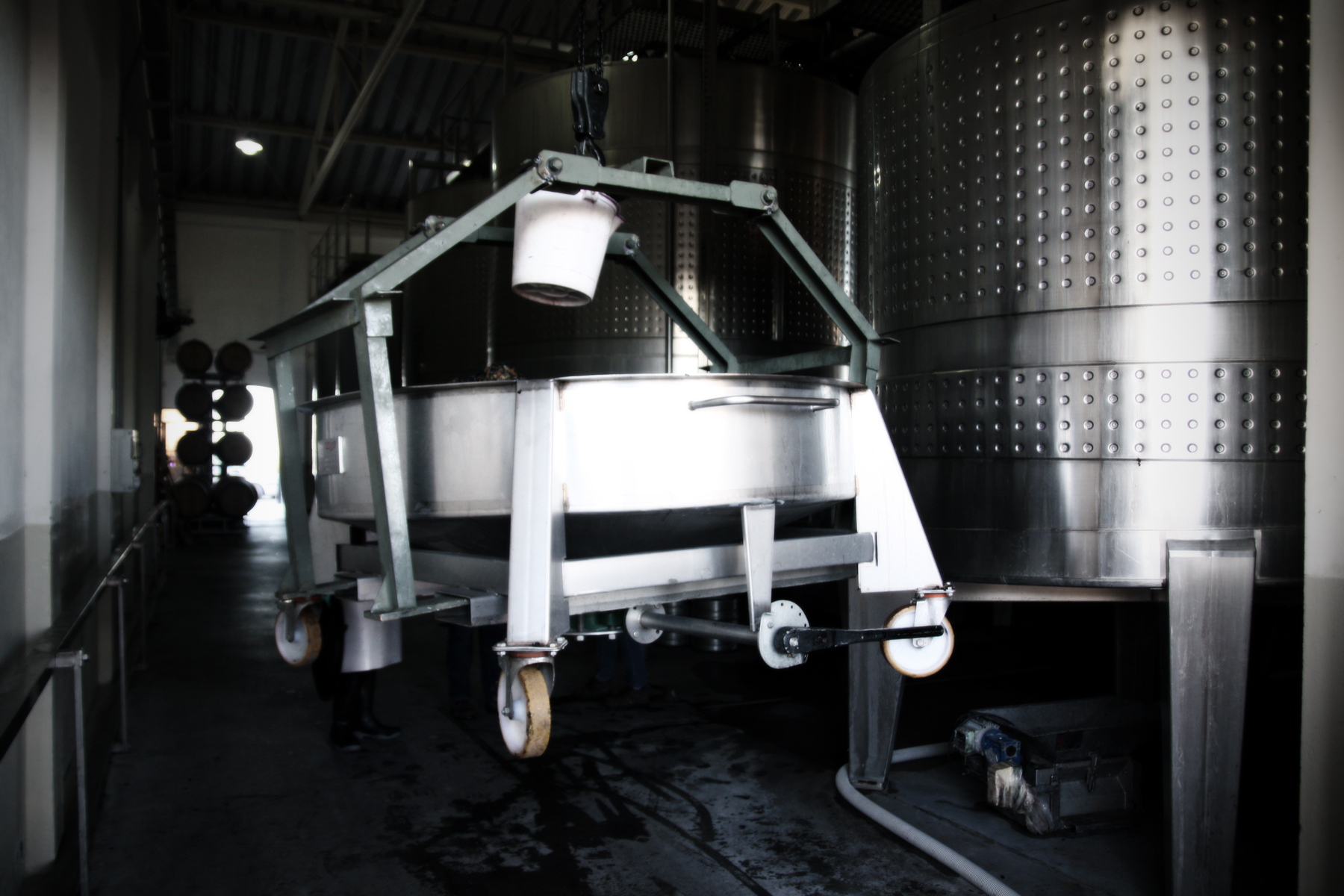 Gravity Winemaking, Altos Las Hormigas, Terroir Project, Mendoza, Argentina