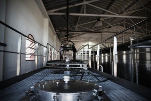 Gravity Winemaking, Altos Las Hormigas, Terroir Project, Mendoza, Argentina